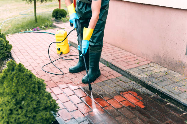 Best Residential Pressure Washing Services  in Linden, MI