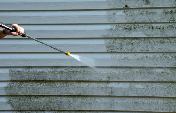 Best Residential Pressure Washing Services  in Linden, MI