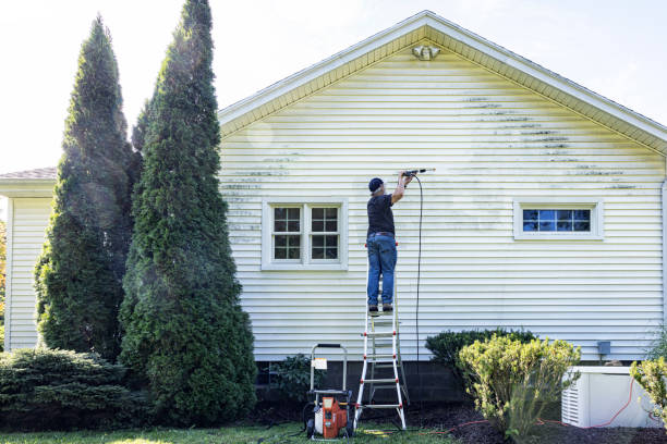 Best Pressure Washing Near Me  in Linden, MI