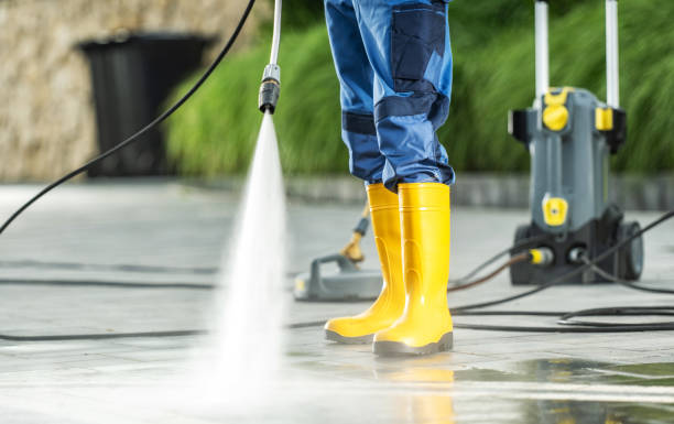 Best Residential Pressure Washing Services  in Linden, MI