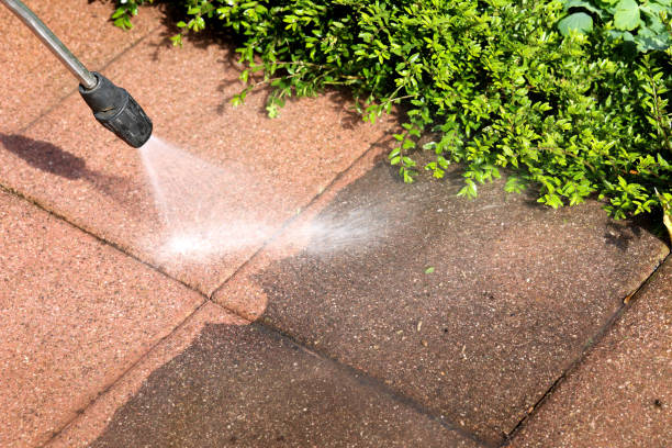 Pressure Washing Services for Businesses in Linden, MI