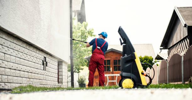 Best Affordable Power Washing  in Linden, MI